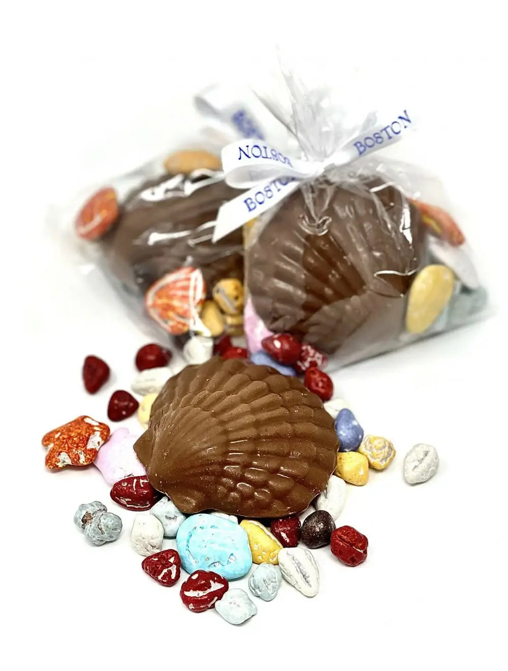 Shell on the Chocolate Rocks