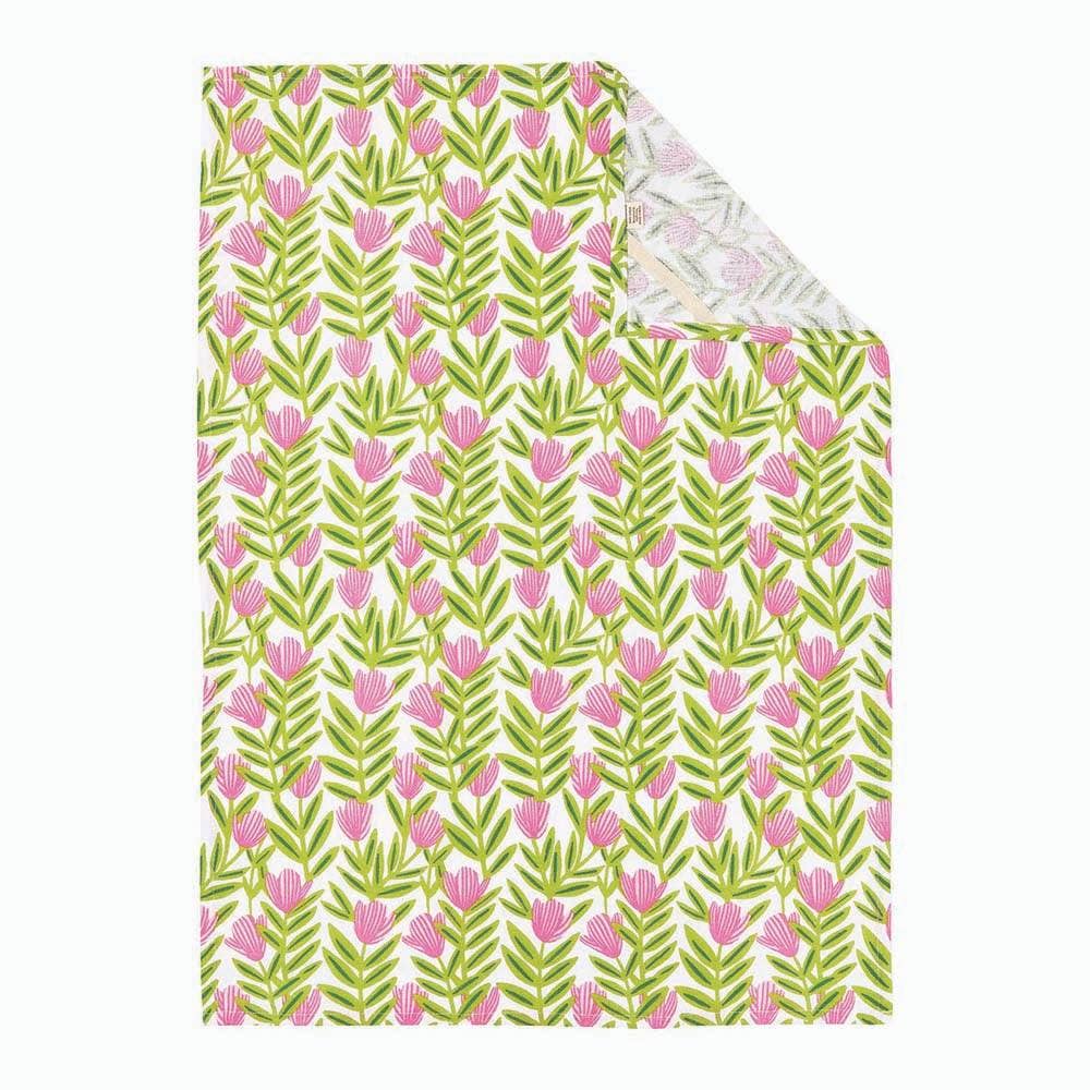 Poppy Papaver Cotton Kitchen Towels
