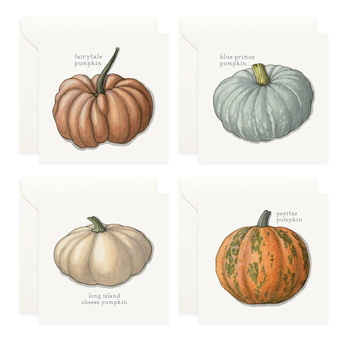 Mini Cards Set / Vegetables . Pumpkins