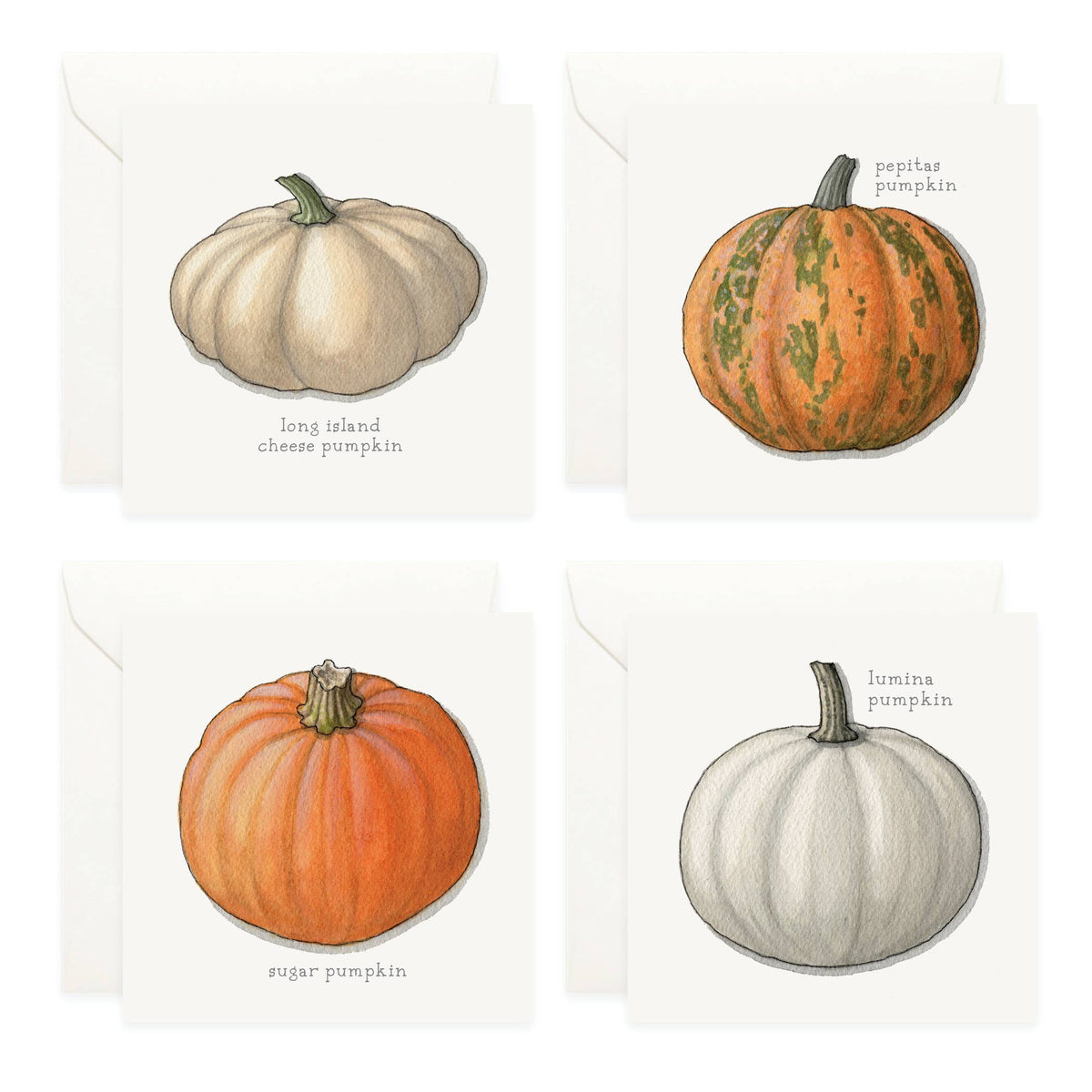 Mini Cards Set / Vegetables . Pumpkins