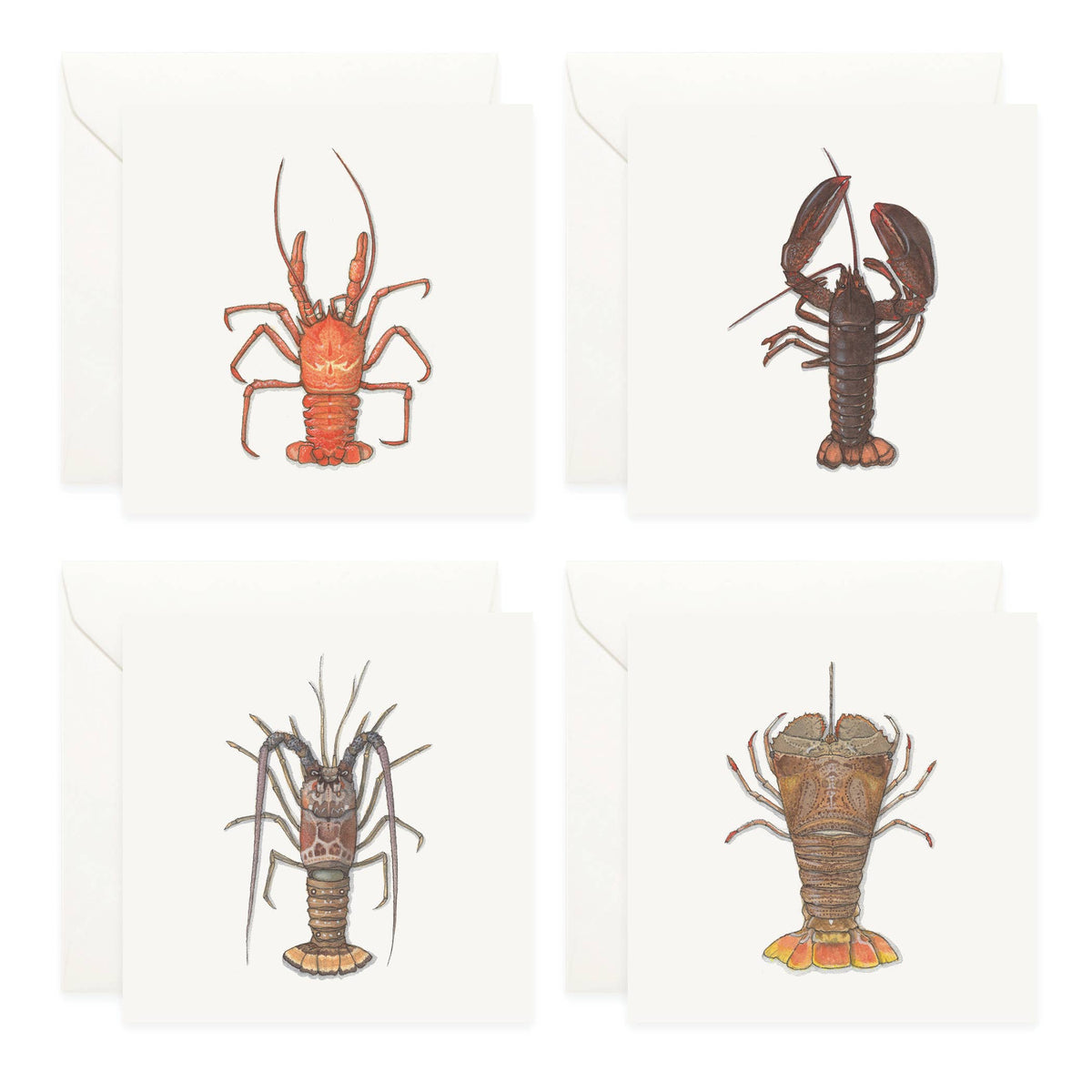 Mini Cards Set / Lobsters