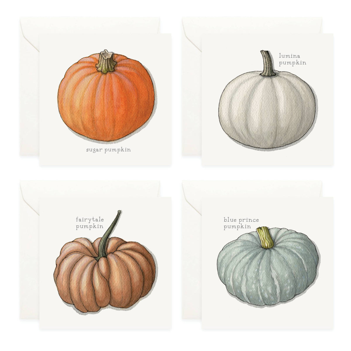 Mini Cards Set / Vegetables . Pumpkins