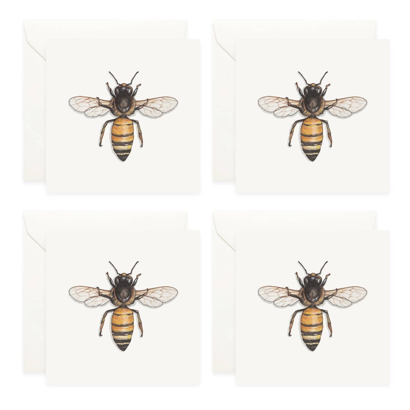 Mini Gift Card Set / Bees & Honey