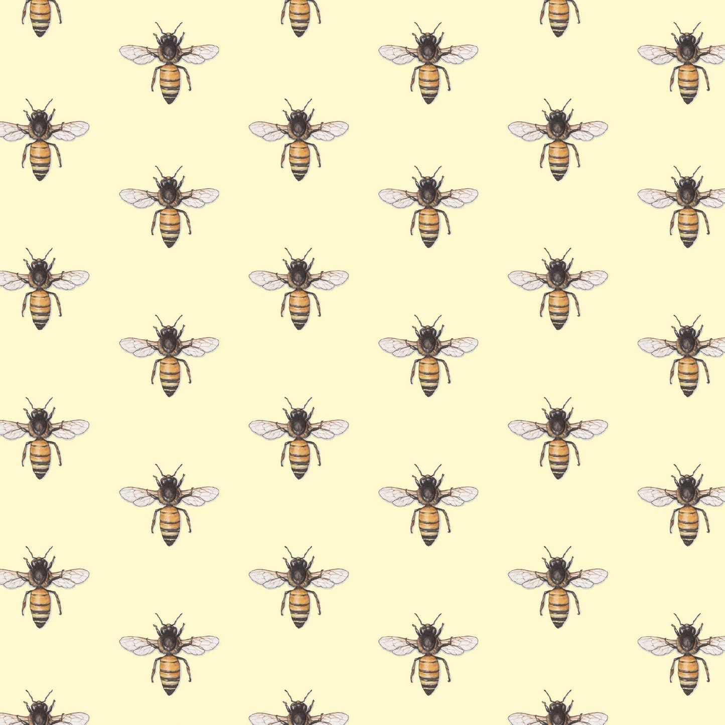 Gift Wrap / Honey Bee