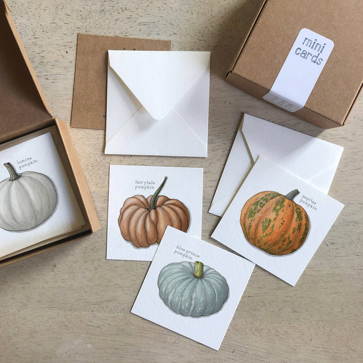 Mini Cards Set / Vegetables . Pumpkins