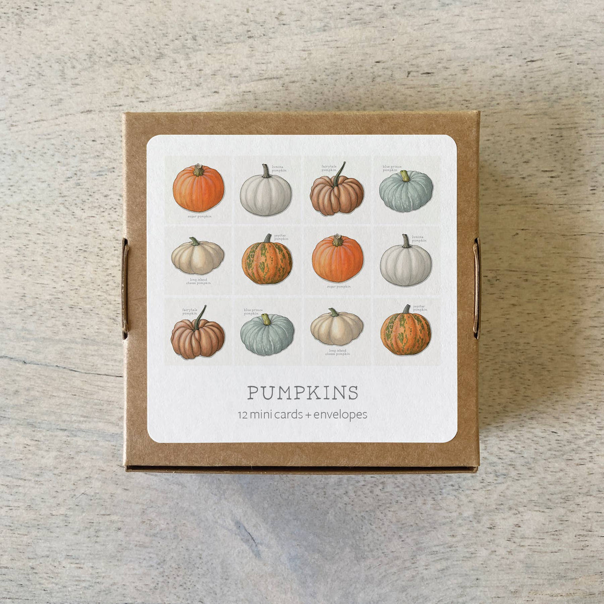 Mini Cards Set / Vegetables . Pumpkins