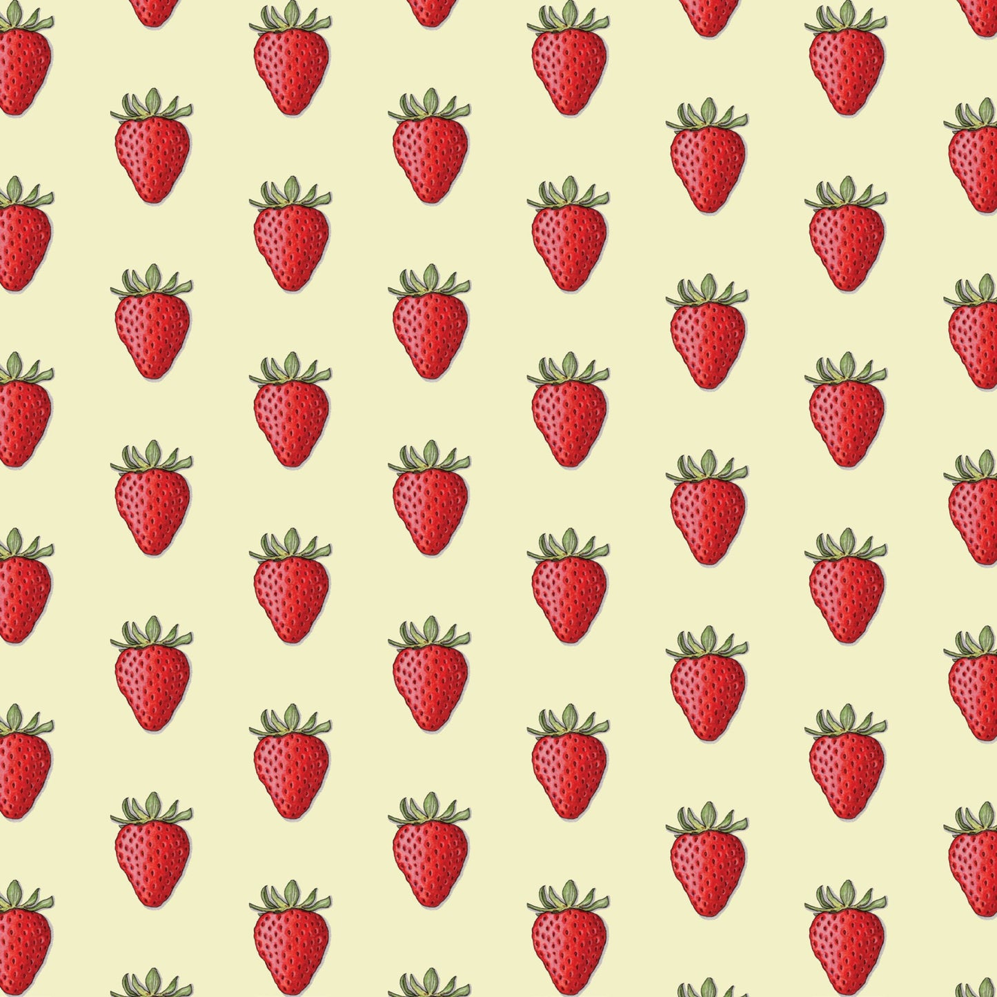 Gift Wrap / Berries