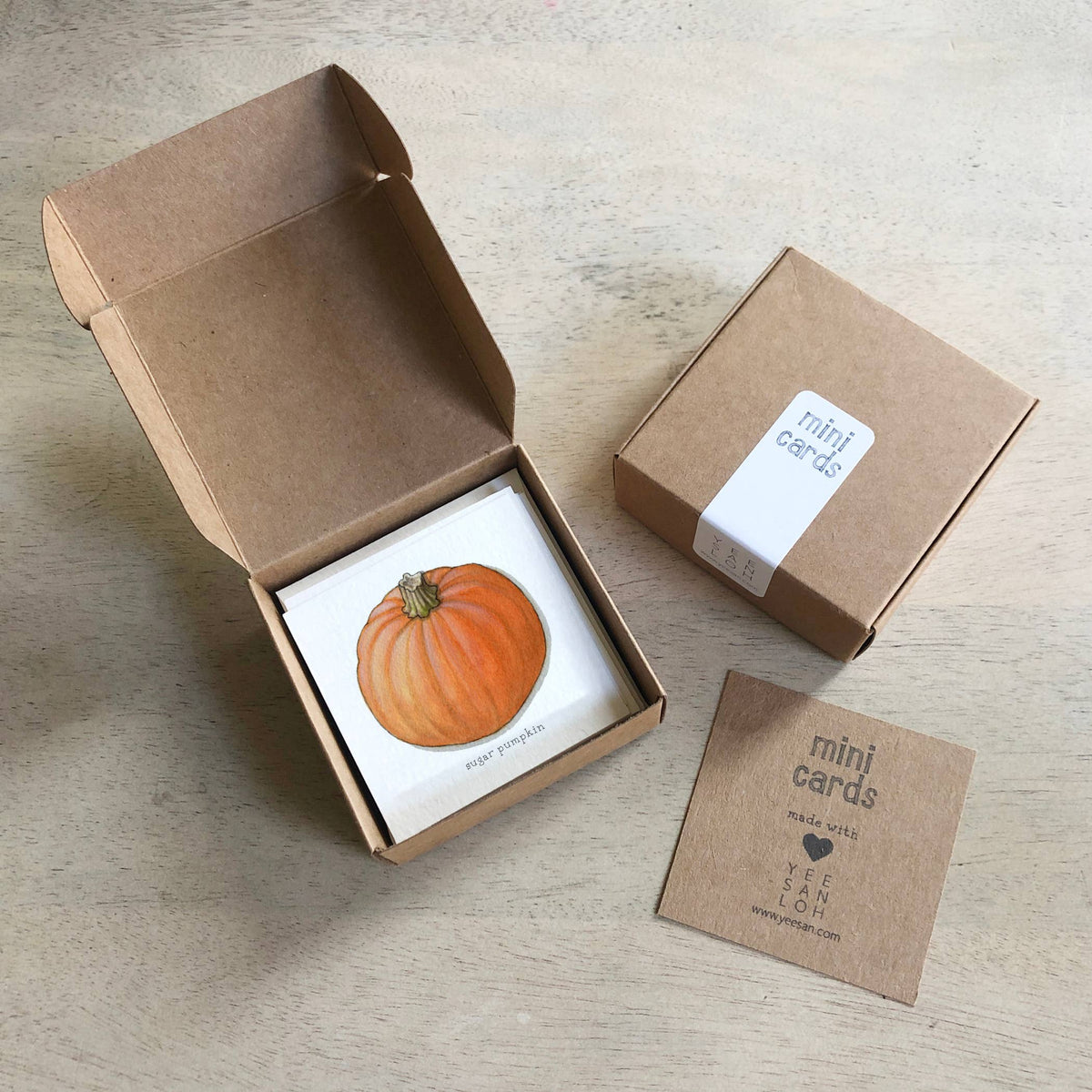Mini Cards Set / Vegetables . Pumpkins